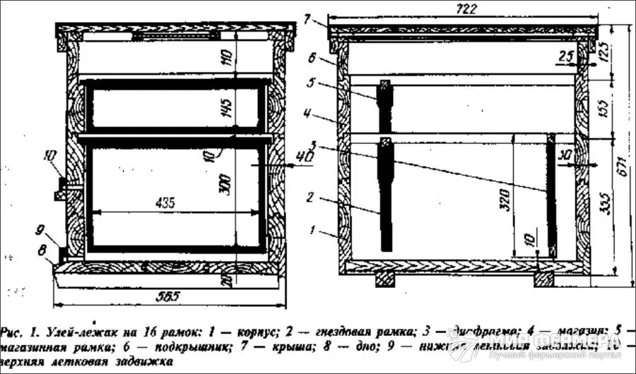Чертеж улья дадан на 12