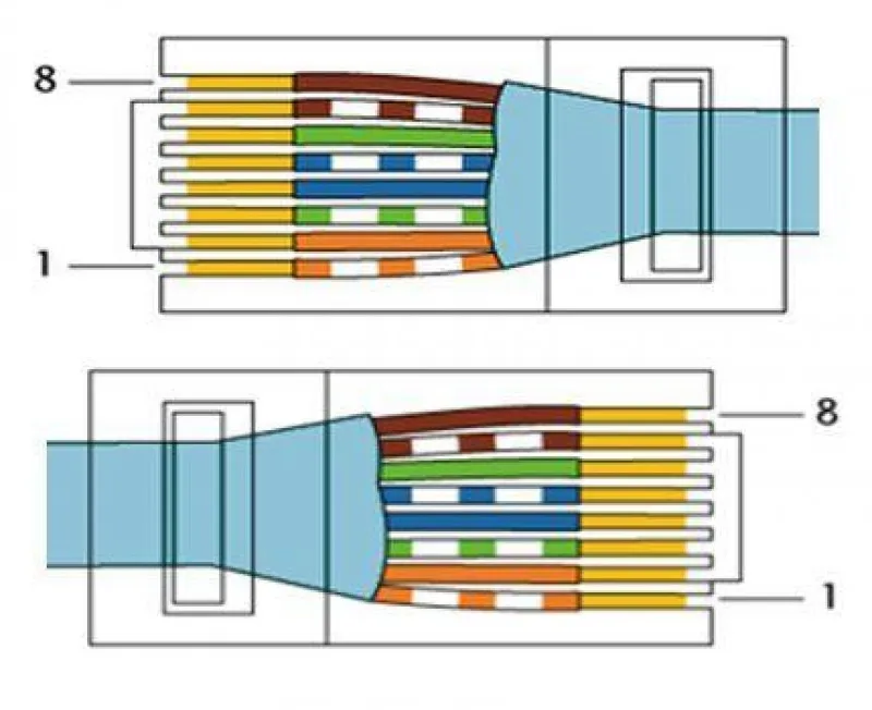 Витая пара 8 жил. Обжим кабеля rj45 1000 Мбит. Витая пара 8 жил обжим. Обжим кабеля 1 гигабит. Обжим витой пары 1 гигабит.