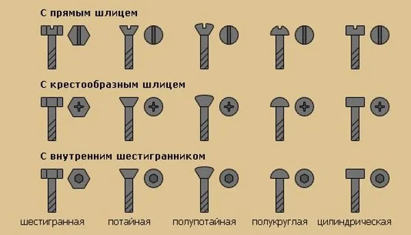 Виды винтов и болтов с картинками