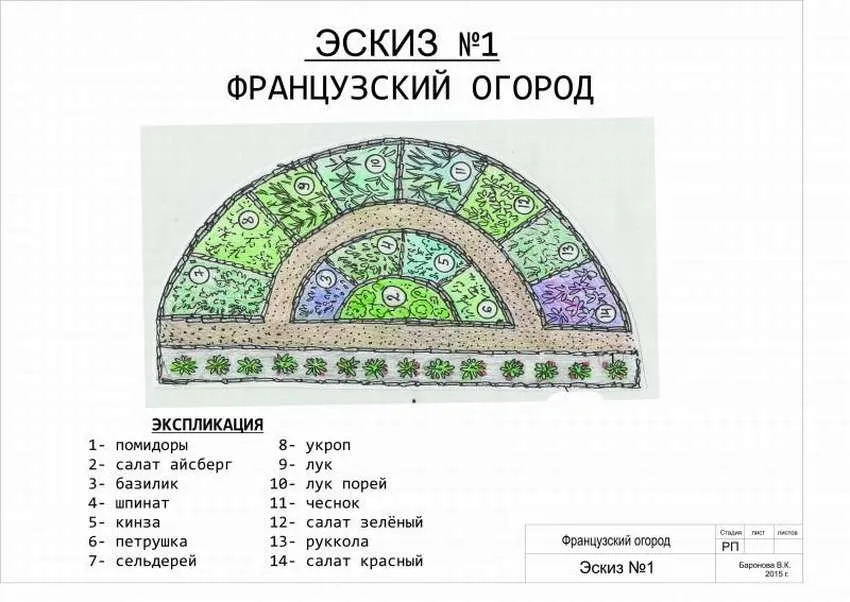 Как организовать аптекарский огород на даче схема