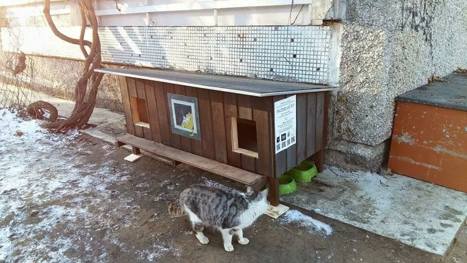 Как сделать дом теплей. Кошкин домик для бездомной кошки. Уличные домики для бездомных кошек. Уличный домик для кошки. Домик для бездомных кошек на зиму.
